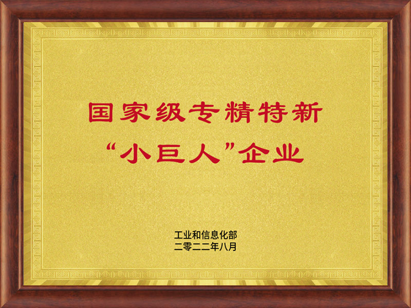国家专精特新“小巨人”企业